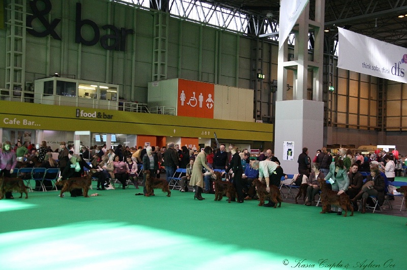 Crufts2011 023.jpg